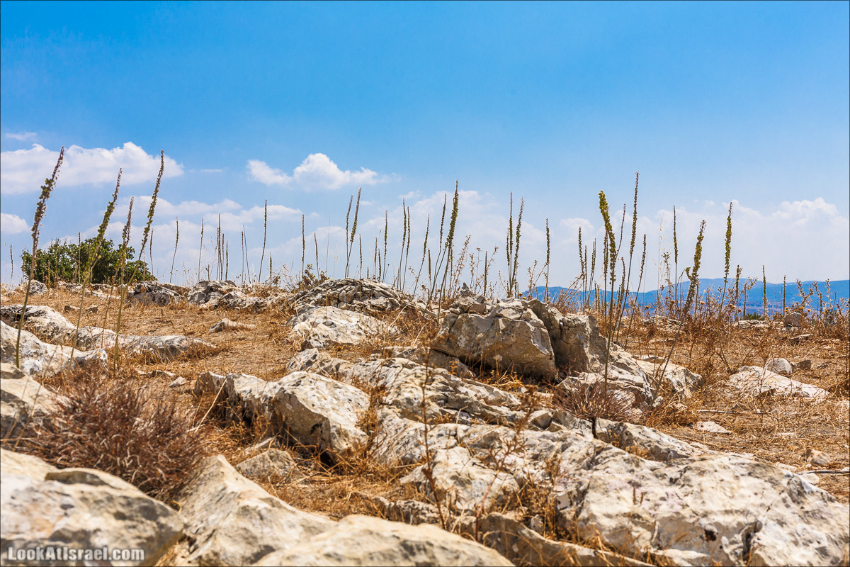 От Хермона к Неве Атив - гора Кахаль, Снаим, итурейский храм и пещеры свинцовой руды LookAtIsrael.com - Фото путешествия по Израилю