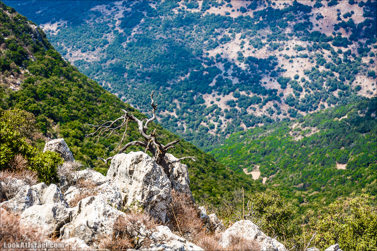 От Хермона к Неве Атив - гора Кахаль, Снаим, итурейский храм и пещеры свинцовой руды LookAtIsrael.com - Фото путешествия по Израилю