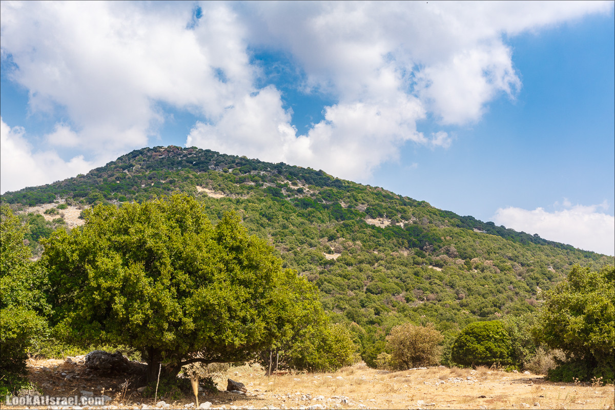 От Хермона к Неве Атив - гора Кахаль, Снаим, итурейский храм и пещеры свинцовой руды LookAtIsrael.com - Фото путешествия по Израилю
