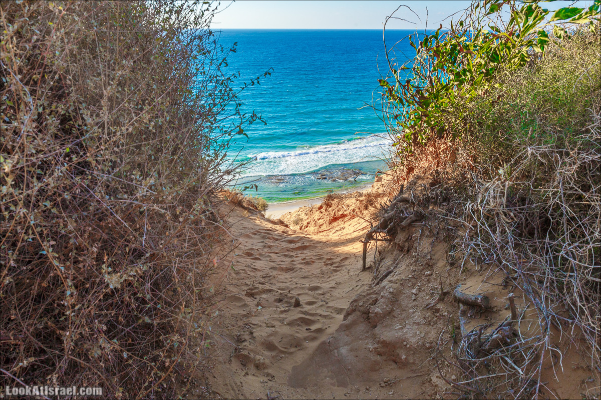 Скрытый берег в парке Хоф ha-Шарон | גן לאומי חוף השרון | LookAtIsrael.com - Фото путешествия по Израилю
