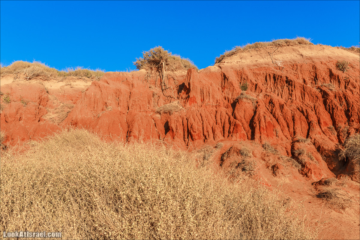 Скрытый берег в парке Хоф ha-Шарон | גן לאומי חוף השרון | LookAtIsrael.com - Фото путешествия по Израилю