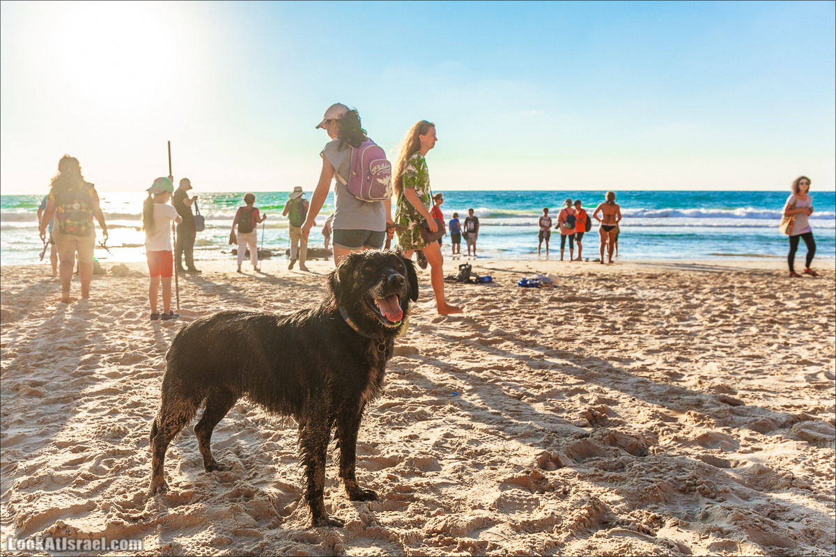 Скрытый берег в парке Хоф ha-Шарон | גן לאומי חוף השרון | LookAtIsrael.com - Фото путешествия по Израилю