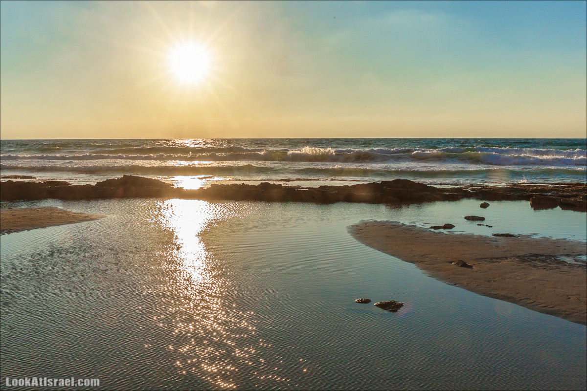 Скрытый берег в парке Хоф ha-Шарон | גן לאומי חוף השרון | LookAtIsrael.com - Фото путешествия по Израилю