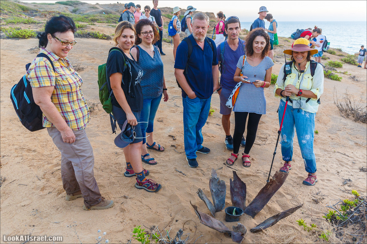Скрытый берег в парке Хоф ha-Шарон | גן לאומי חוף השרון | LookAtIsrael.com - Фото путешествия по Израилю