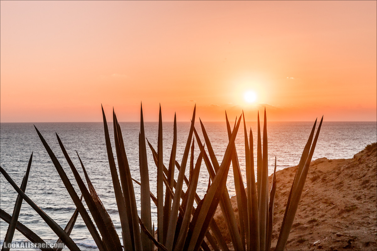 Скрытый берег в парке Хоф ha-Шарон | גן לאומי חוף השרון | LookAtIsrael.com - Фото путешествия по Израилю