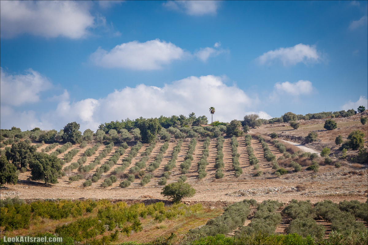 Ручей Циппори и долина Нетофа | נחל ציפורי ועמק נטופה | LookAtIsrael.com - Фото путешествия по Израилю