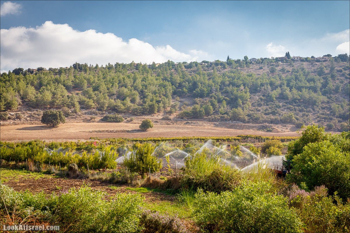 Ручей Циппори и долина Нетофа | נחל ציפורי ועמק נטופה | LookAtIsrael.com - Фото путешествия по Израилю