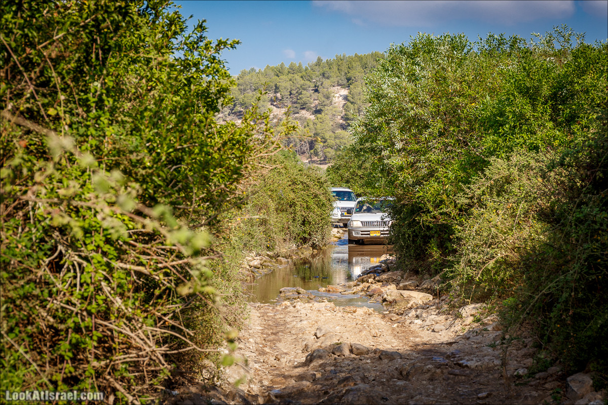 Ручей Циппори и долина Нетофа | נחל ציפורי ועמק נטופה | LookAtIsrael.com - Фото путешествия по Израилю