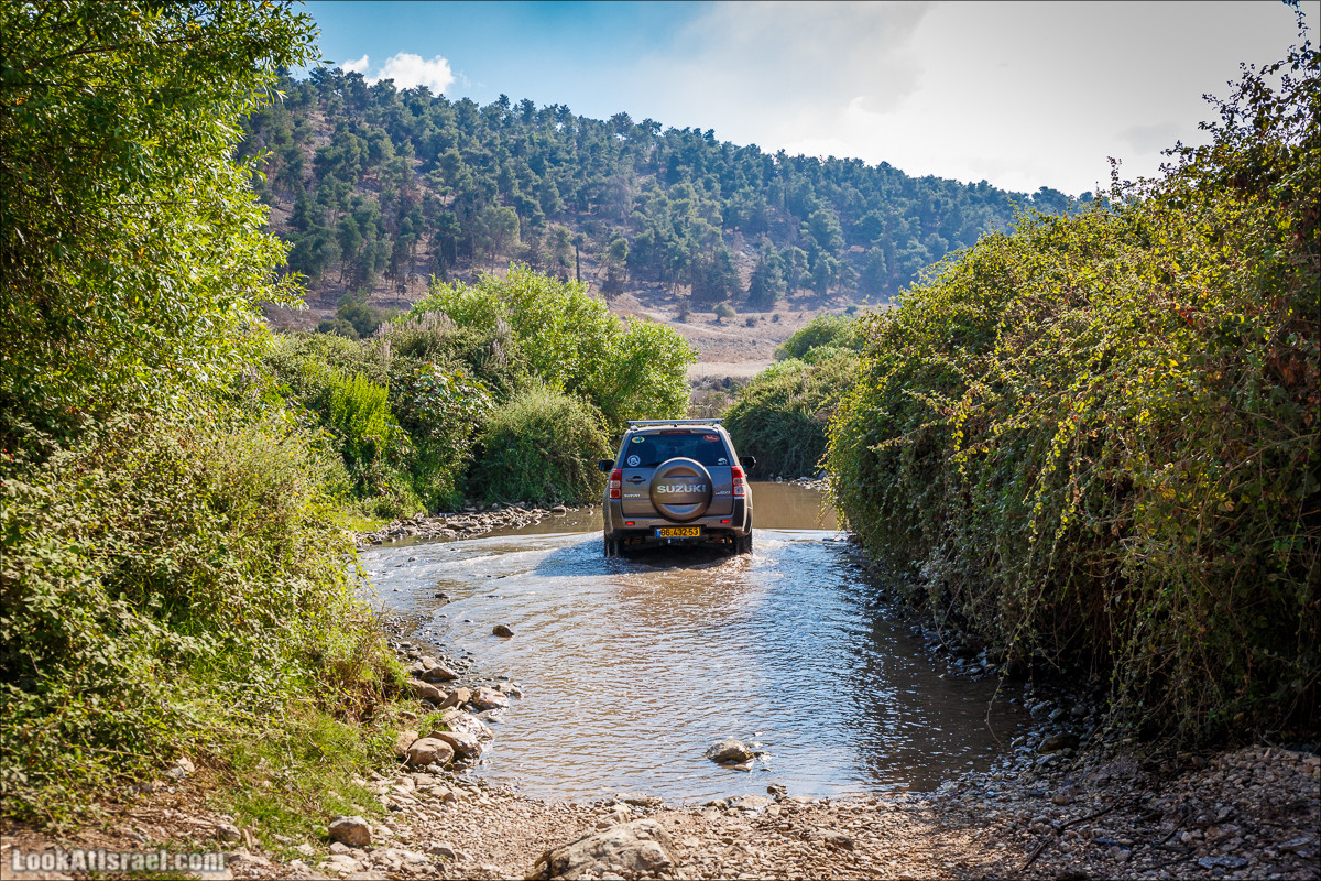 Ручей Циппори и долина Нетофа | נחל ציפורי ועמק נטופה | LookAtIsrael.com - Фото путешествия по Израилю