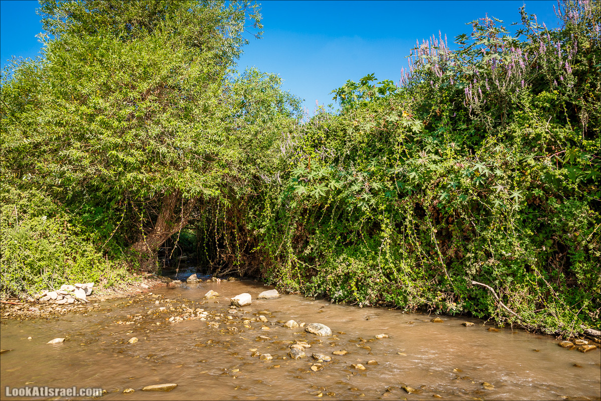 Ручей Циппори и долина Нетофа | נחל ציפורי ועמק נטופה | LookAtIsrael.com - Фото путешествия по Израилю