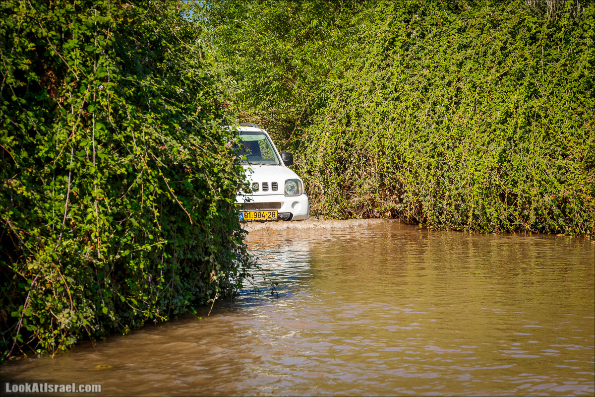 Ручей Циппори и долина Нетофа | נחל ציפורי ועמק נטופה | LookAtIsrael.com - Фото путешествия по Израилю