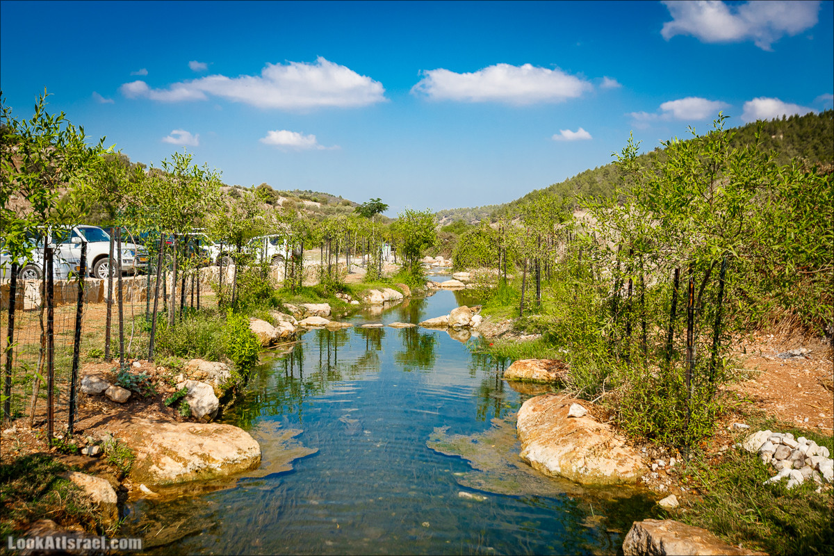 Ручей Циппори и долина Нетофа | נחל ציפורי ועמק נטופה | LookAtIsrael.com - Фото путешествия по Израилю