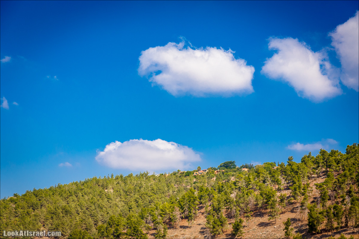 Ручей Циппори и долина Нетофа | נחל ציפורי ועמק נטופה | LookAtIsrael.com - Фото путешествия по Израилю