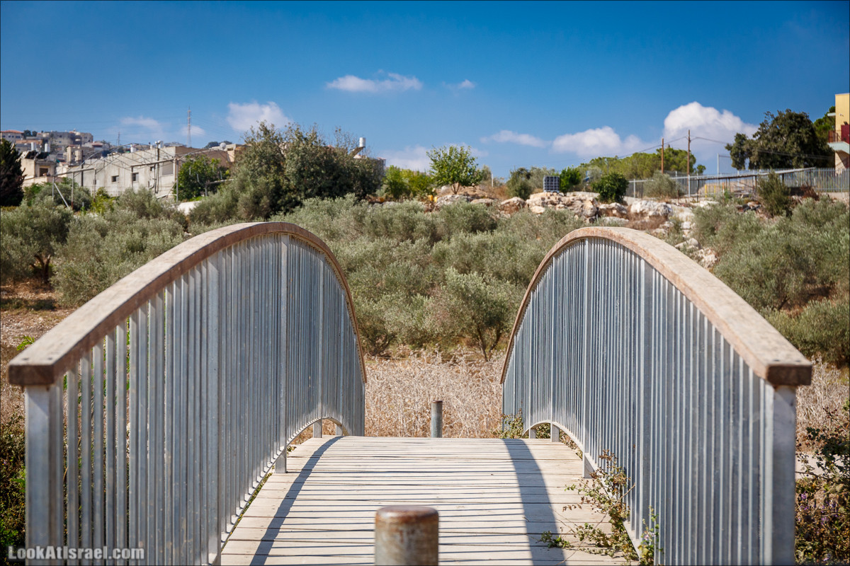 Ручей Циппори и долина Нетофа | נחל ציפורי ועמק נטופה | LookAtIsrael.com - Фото путешествия по Израилю