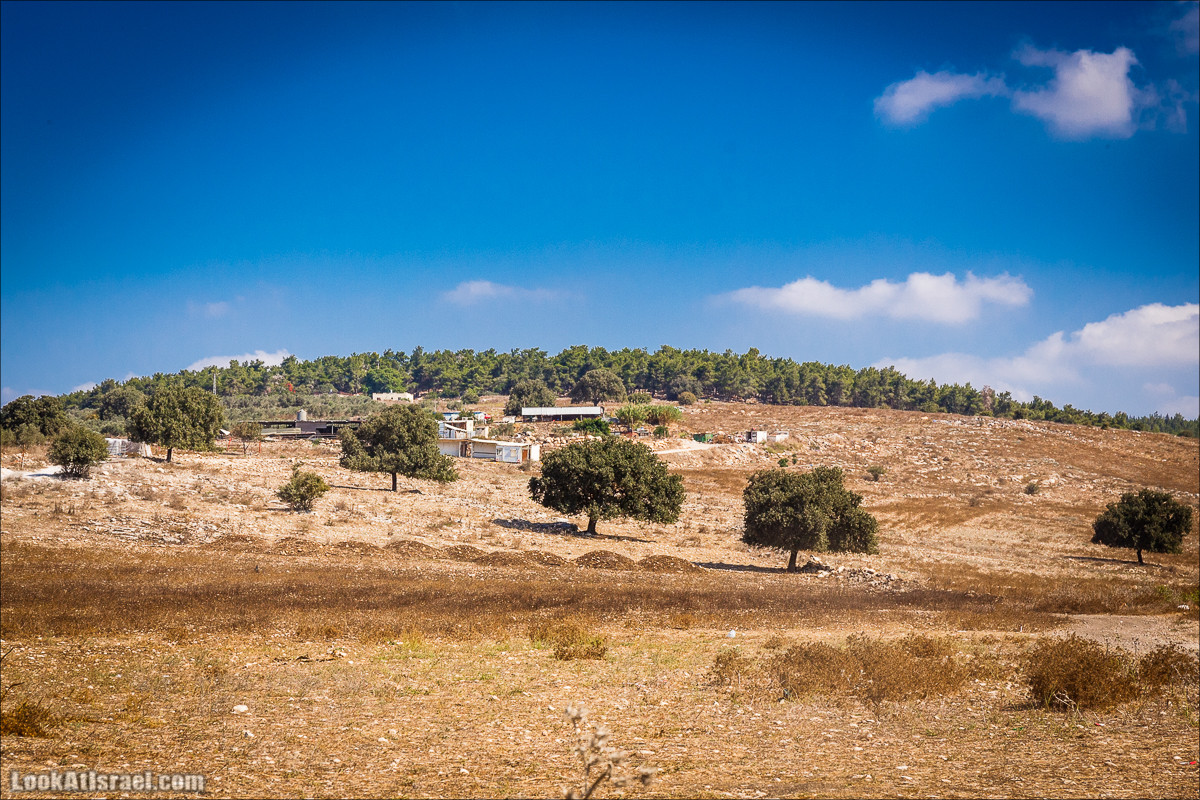 Ручей Циппори и долина Нетофа | נחל ציפורי ועמק נטופה | LookAtIsrael.com - Фото путешествия по Израилю