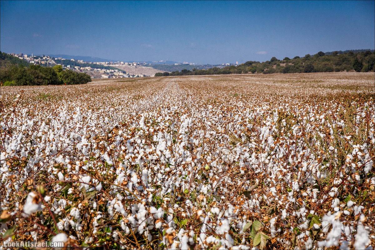 Ручей Циппори и долина Нетофа | נחל ציפורי ועמק נטופה | LookAtIsrael.com - Фото путешествия по Израилю