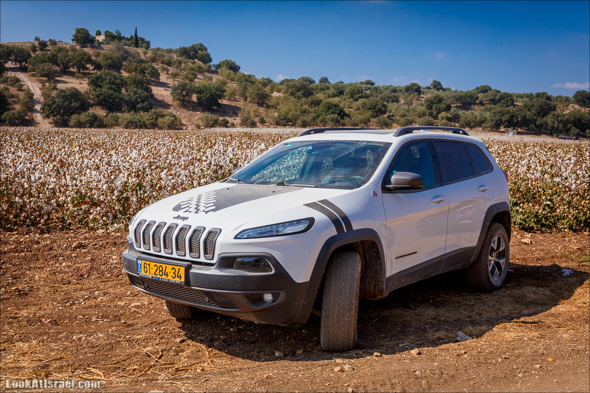 Ручей Циппори и долина Нетофа | נחל ציפורי ועמק נטופה | LookAtIsrael.com - Фото путешествия по Израилю