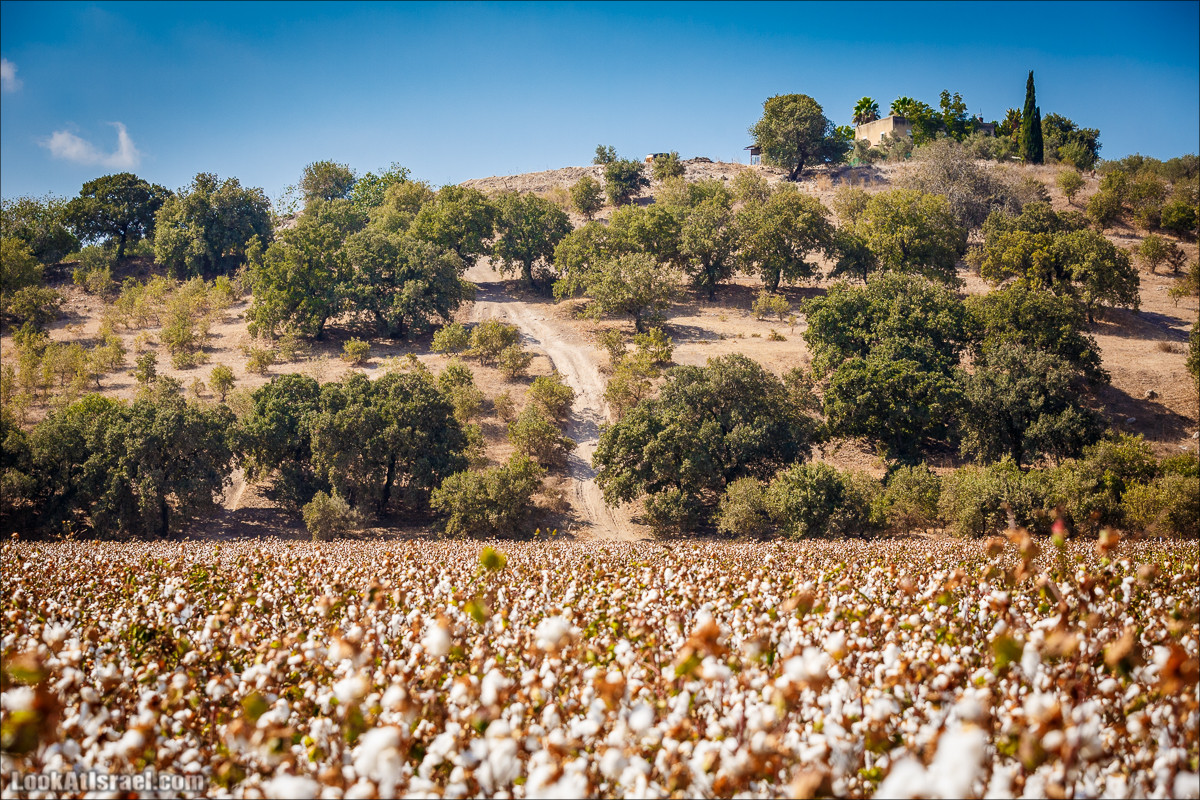 Ручей Циппори и долина Нетофа | נחל ציפורי ועמק נטופה | LookAtIsrael.com - Фото путешествия по Израилю