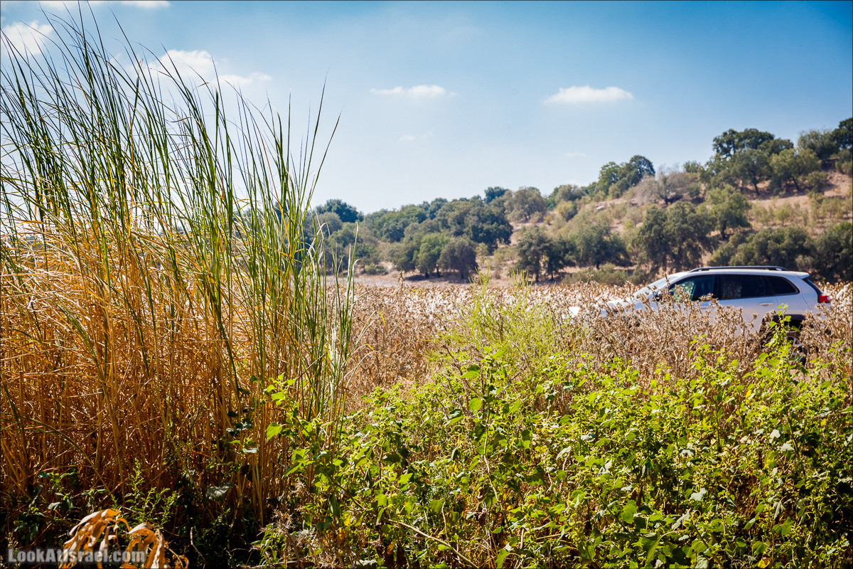 Ручей Циппори и долина Нетофа | נחל ציפורי ועמק נטופה | LookAtIsrael.com - Фото путешествия по Израилю