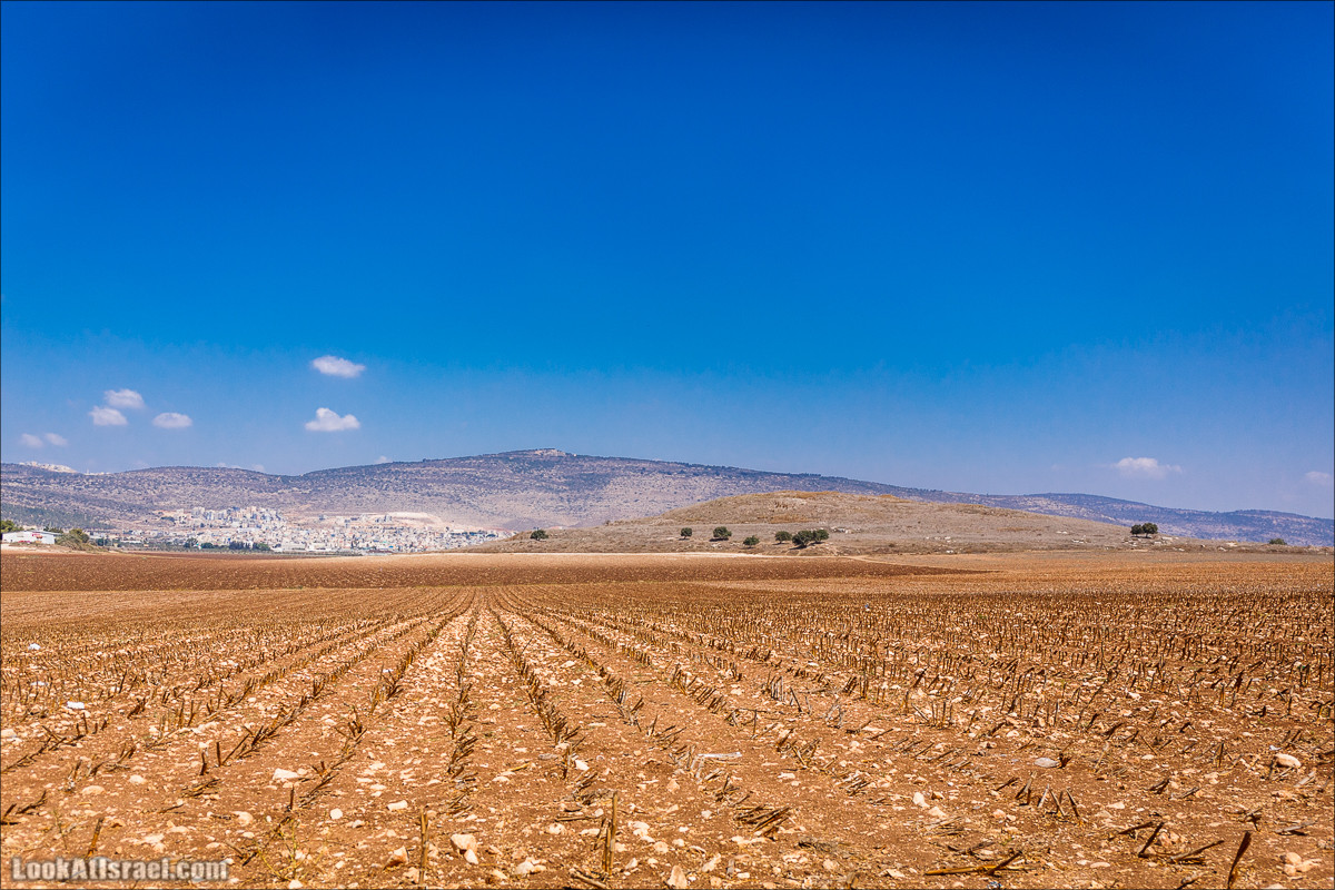 Ручей Циппори и долина Нетофа | נחל ציפורי ועמק נטופה | LookAtIsrael.com - Фото путешествия по Израилю
