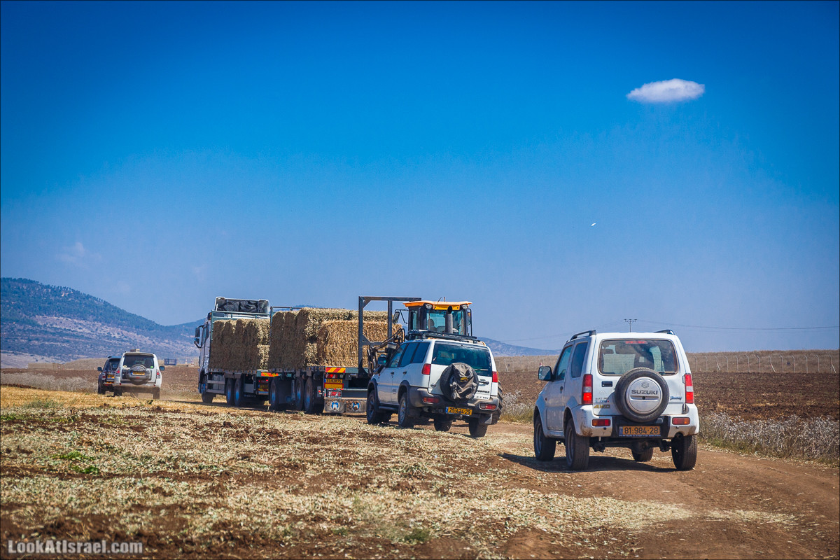 Ручей Циппори и долина Нетофа | נחל ציפורי ועמק נטופה | LookAtIsrael.com - Фото путешествия по Израилю