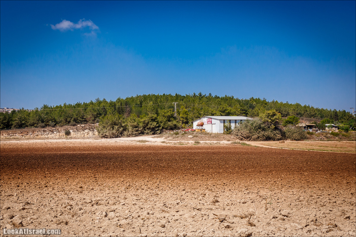 Ручей Циппори и долина Нетофа | נחל ציפורי ועמק נטופה | LookAtIsrael.com - Фото путешествия по Израилю