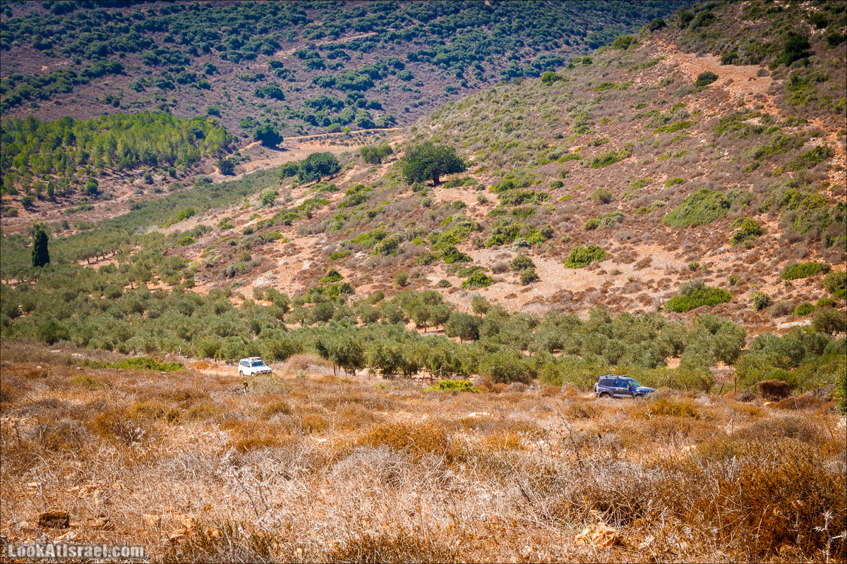 Ручей Циппори и долина Нетофа | נחל ציפורי ועמק נטופה | LookAtIsrael.com - Фото путешествия по Израилю