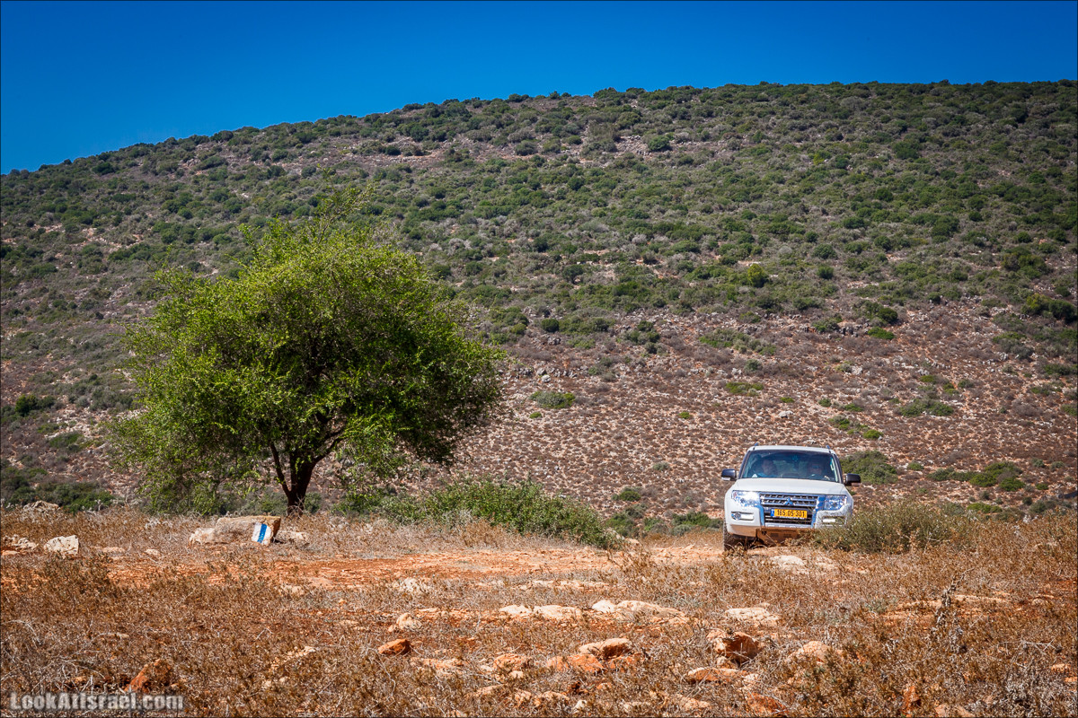 Ручей Циппори и долина Нетофа | נחל ציפורי ועמק נטופה | LookAtIsrael.com - Фото путешествия по Израилю