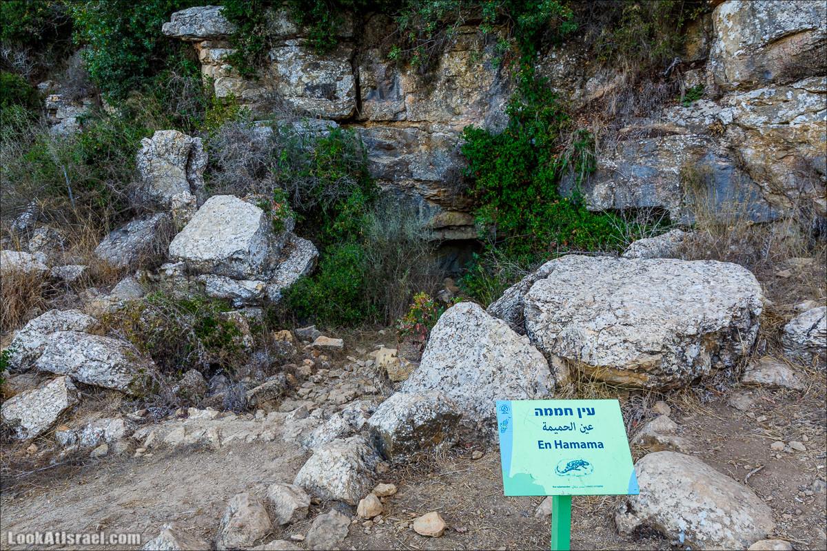 По окрестностям и вокруг горы Мирон | הר מירון | LookAtIsrael.com - Фото путешествия по Израилю