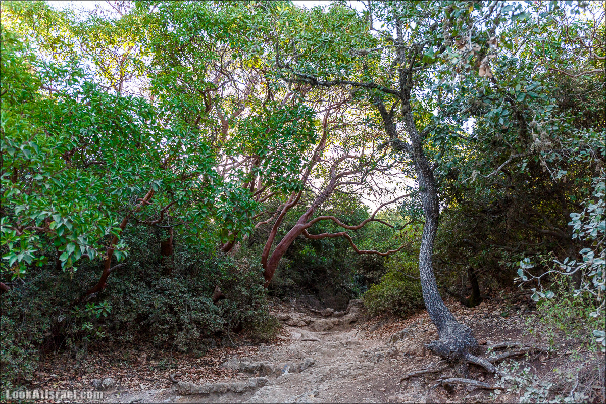 По окрестностям и вокруг горы Мирон | הר מירון | LookAtIsrael.com - Фото путешествия по Израилю