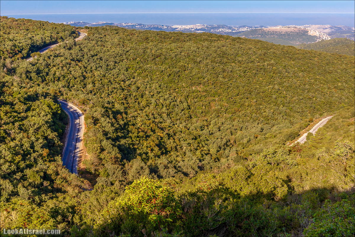 По окрестностям и вокруг горы Мирон | הר מירון | LookAtIsrael.com - Фото путешествия по Израилю