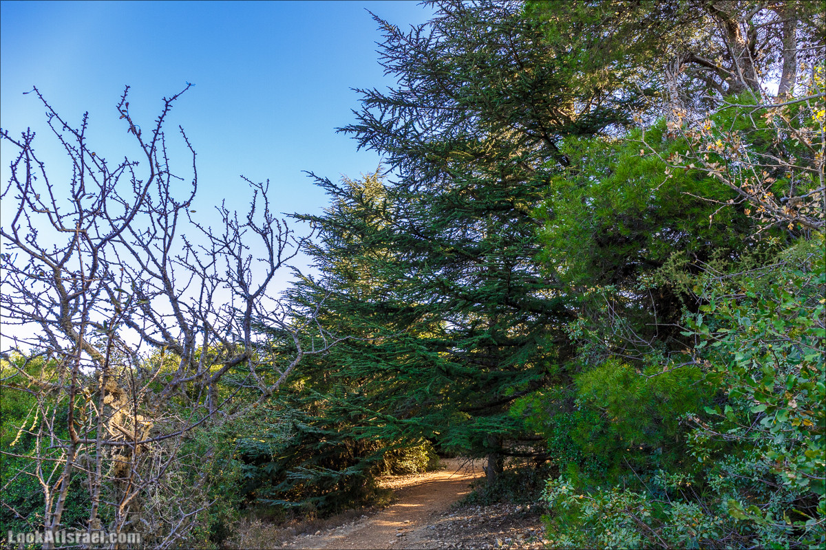 По окрестностям и вокруг горы Мирон | הר מירון | LookAtIsrael.com - Фото путешествия по Израилю