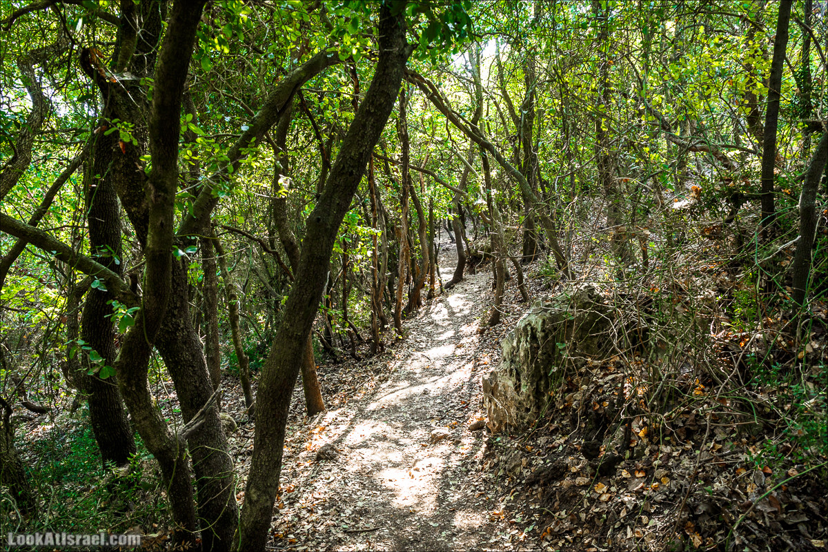 По окрестностям и вокруг горы Мирон | הר מירון | LookAtIsrael.com - Фото путешествия по Израилю
