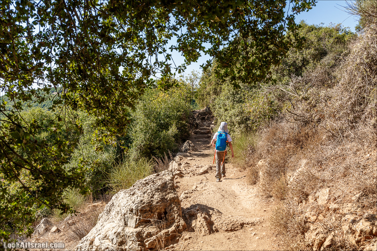 По окрестностям и вокруг горы Мирон | הר מירון | LookAtIsrael.com - Фото путешествия по Израилю