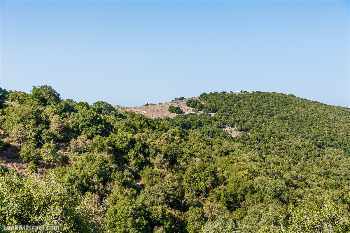 По окрестностям и вокруг горы Мирон | הר מירון | LookAtIsrael.com - Фото путешествия по Израилю