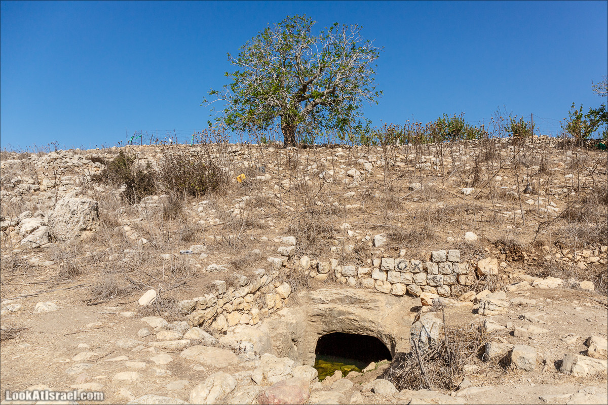 По окрестностям и вокруг горы Мирон | הר מירון | LookAtIsrael.com - Фото путешествия по Израилю