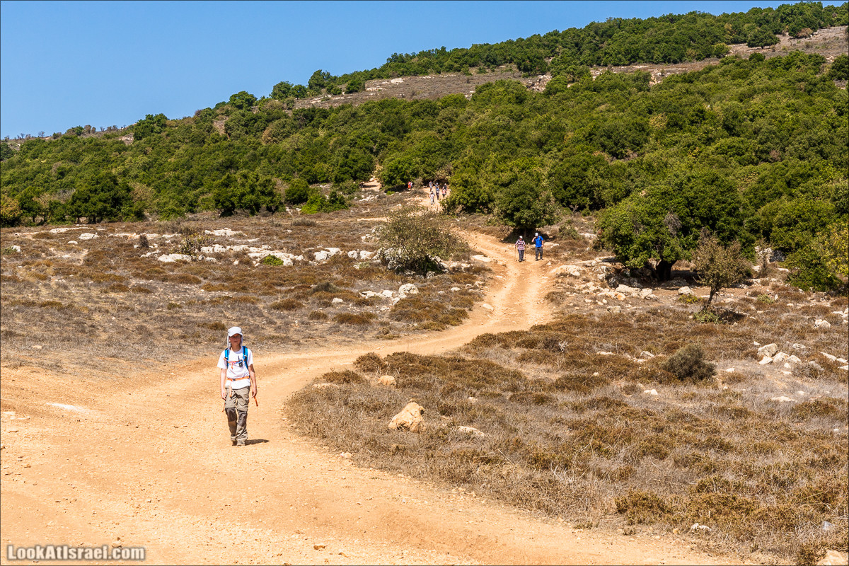 По окрестностям и вокруг горы Мирон | הר מירון | LookAtIsrael.com - Фото путешествия по Израилю