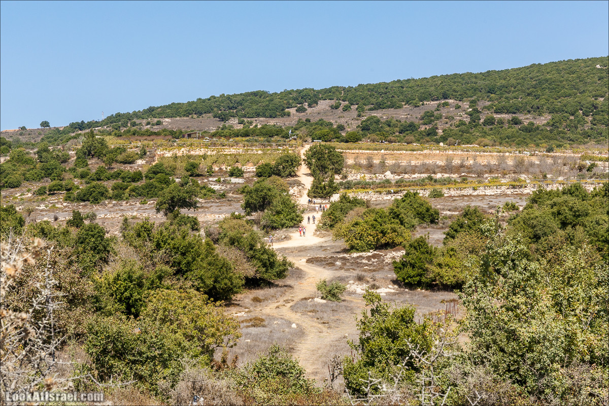 По окрестностям и вокруг горы Мирон | הר מירון | LookAtIsrael.com - Фото путешествия по Израилю