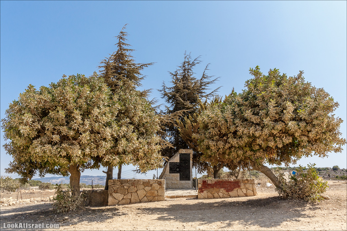 По окрестностям и вокруг горы Мирон | הר מירון | LookAtIsrael.com - Фото путешествия по Израилю