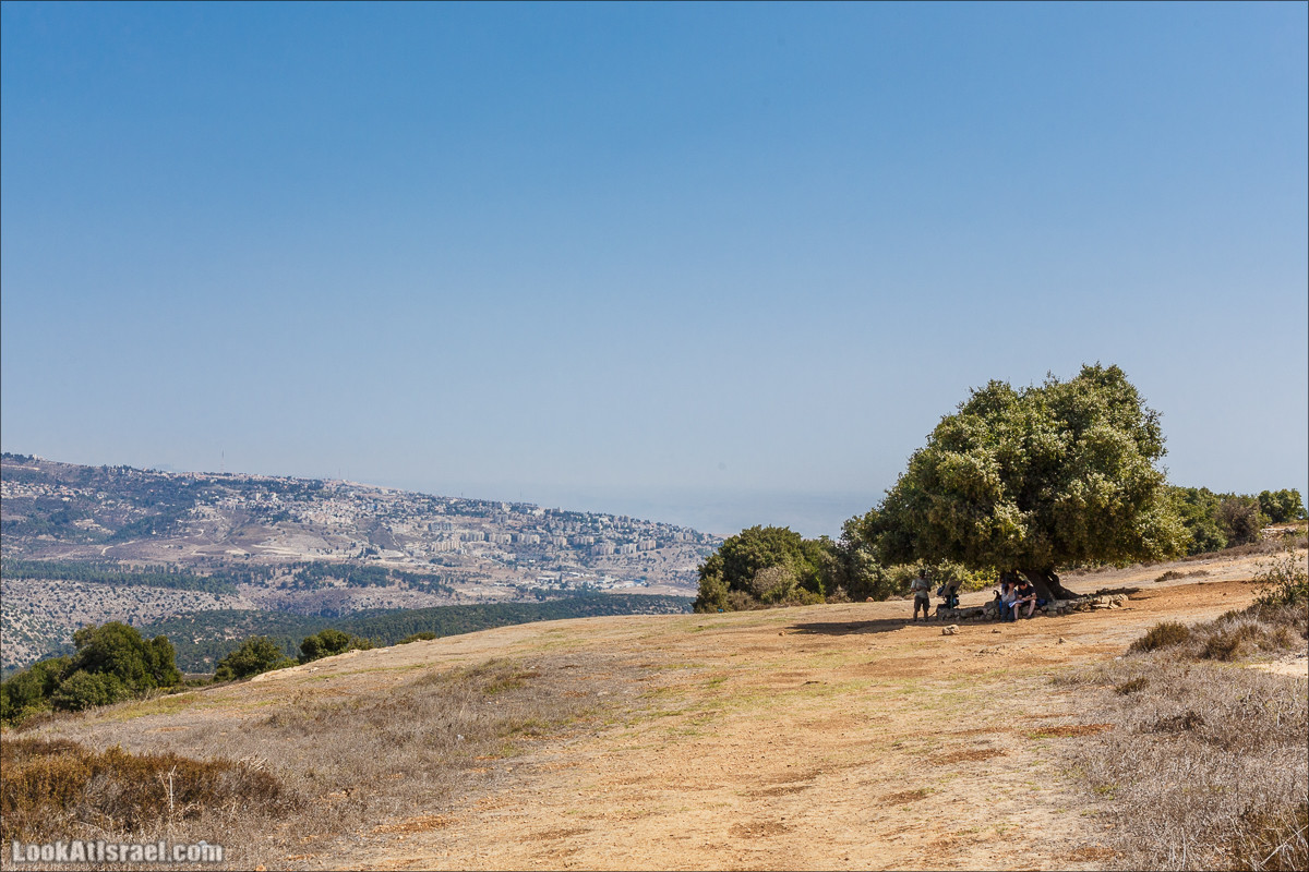 По окрестностям и вокруг горы Мирон | הר מירון | LookAtIsrael.com - Фото путешествия по Израилю