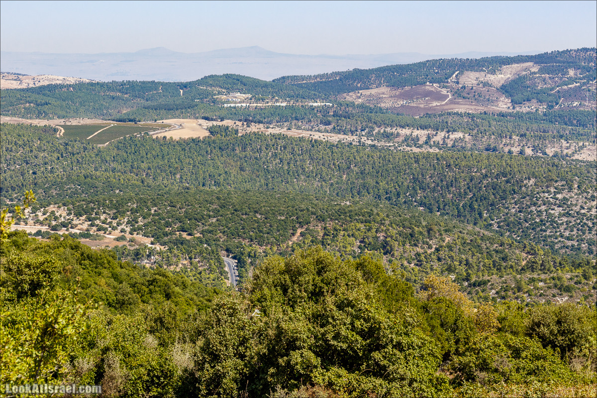 По окрестностям и вокруг горы Мирон | הר מירון | LookAtIsrael.com - Фото путешествия по Израилю