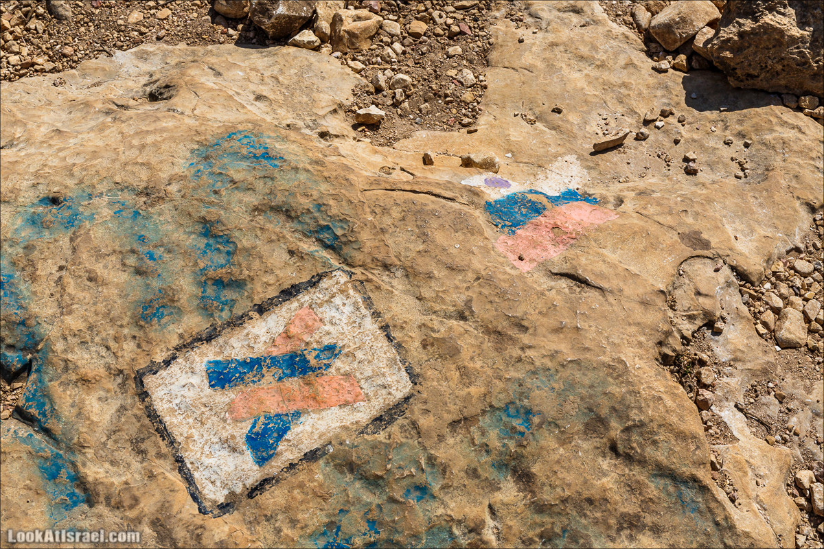 По окрестностям и вокруг горы Мирон | הר מירון | LookAtIsrael.com - Фото путешествия по Израилю