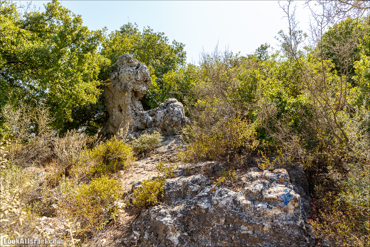По окрестностям и вокруг горы Мирон | הר מירון | LookAtIsrael.com - Фото путешествия по Израилю