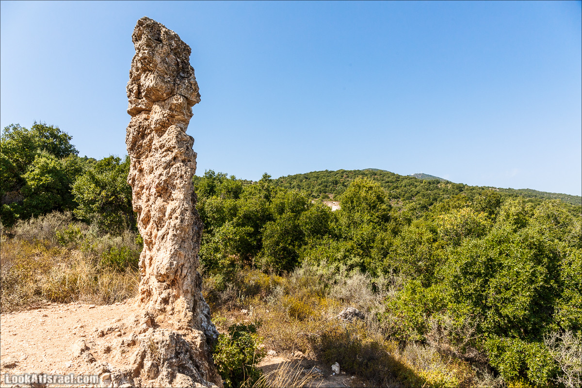 По окрестностям и вокруг горы Мирон | הר מירון | LookAtIsrael.com - Фото путешествия по Израилю