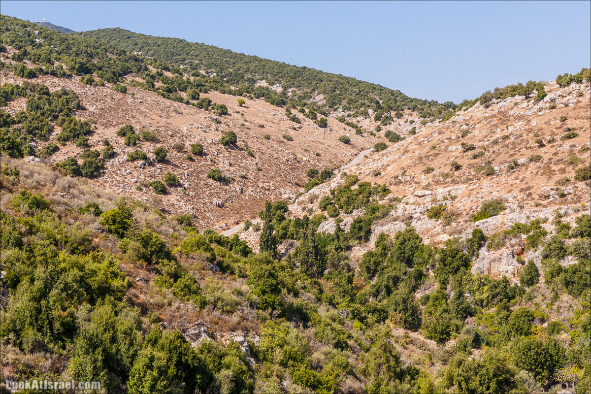 По окрестностям и вокруг горы Мирон | הר מירון | LookAtIsrael.com - Фото путешествия по Израилю