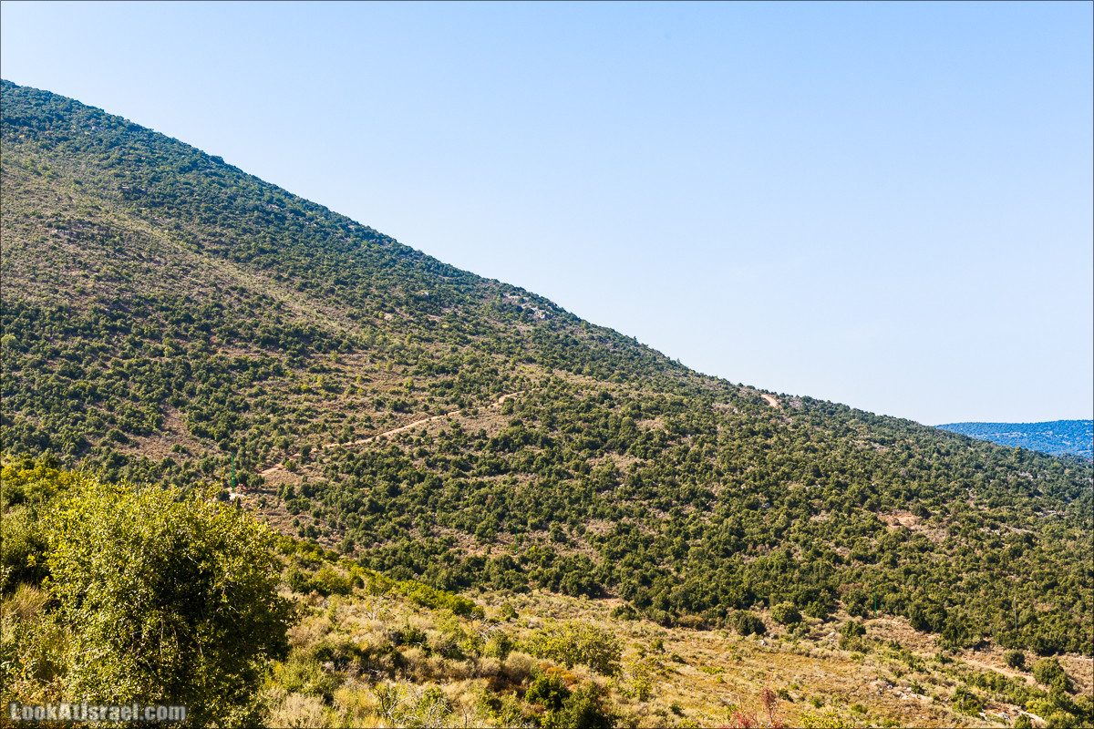 По окрестностям и вокруг горы Мирон | הר מירון | LookAtIsrael.com - Фото путешествия по Израилю