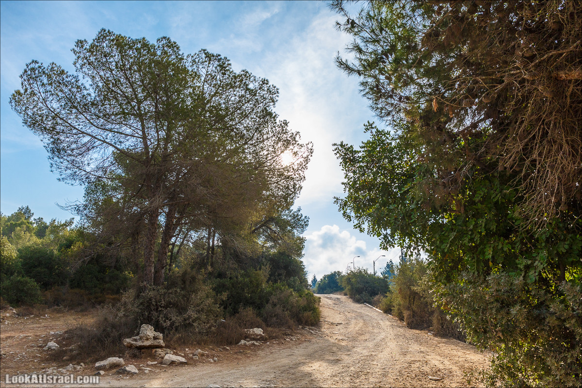 Нахаль Вади Катлав, Дир а-Шейх, Бар Гиора и Хирбет Тура | LookAtIsrael.com - Фото путешествия по Израилю