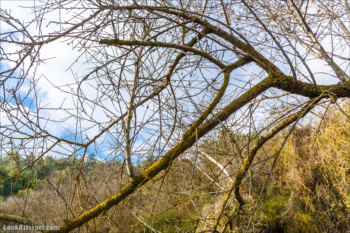 Нахаль Вади Катлав, Дир а-Шейх, Бар Гиора и Хирбет Тура | LookAtIsrael.com - Фото путешествия по Израилю