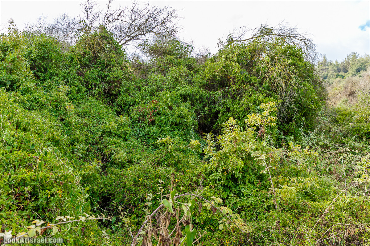 Нахаль Вади Катлав, Дир а-Шейх, Бар Гиора и Хирбет Тура | LookAtIsrael.com - Фото путешествия по Израилю