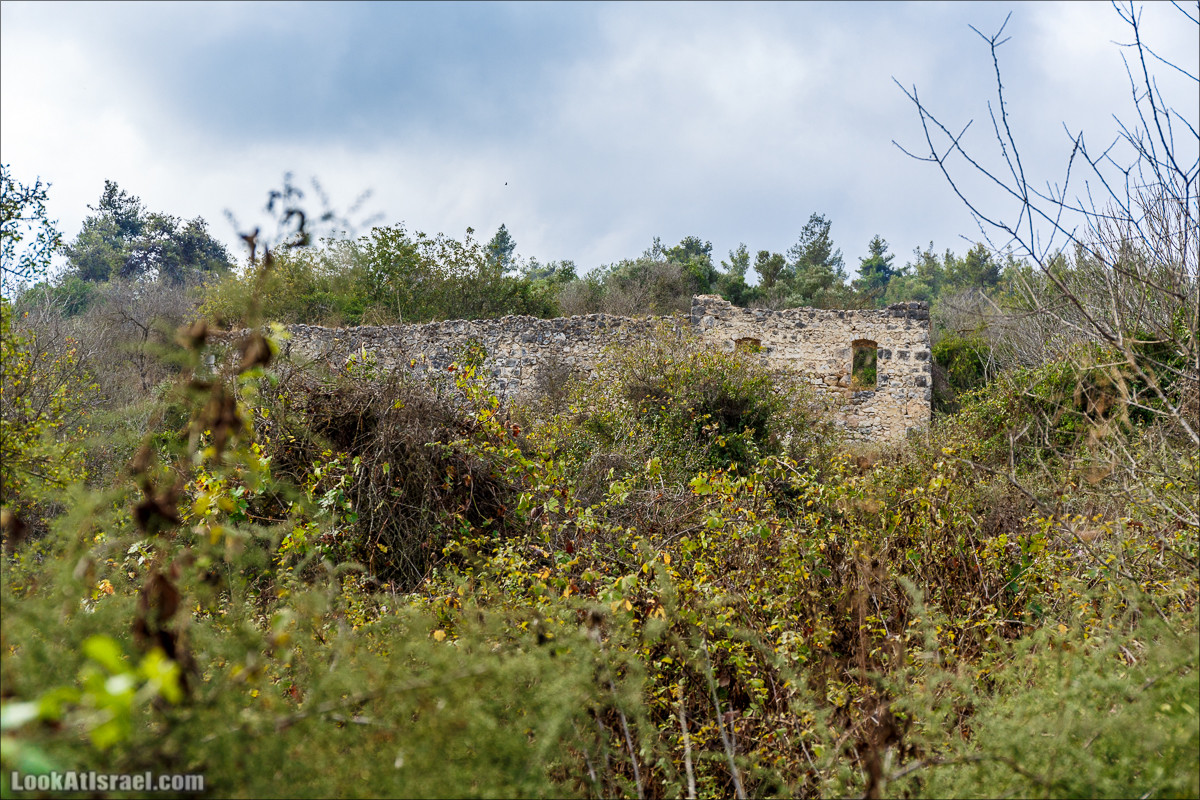 Нахаль Вади Катлав, Дир а-Шейх, Бар Гиора и Хирбет Тура | LookAtIsrael.com - Фото путешествия по Израилю